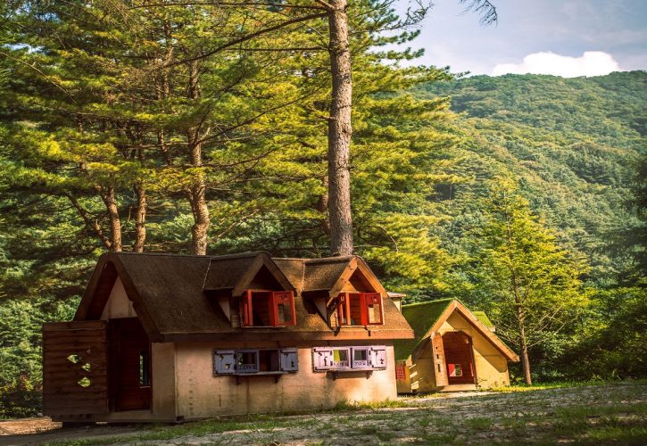La Famiglia del Bosco Lotta per Riunirsi: Una Storia di Separazione e Speranza