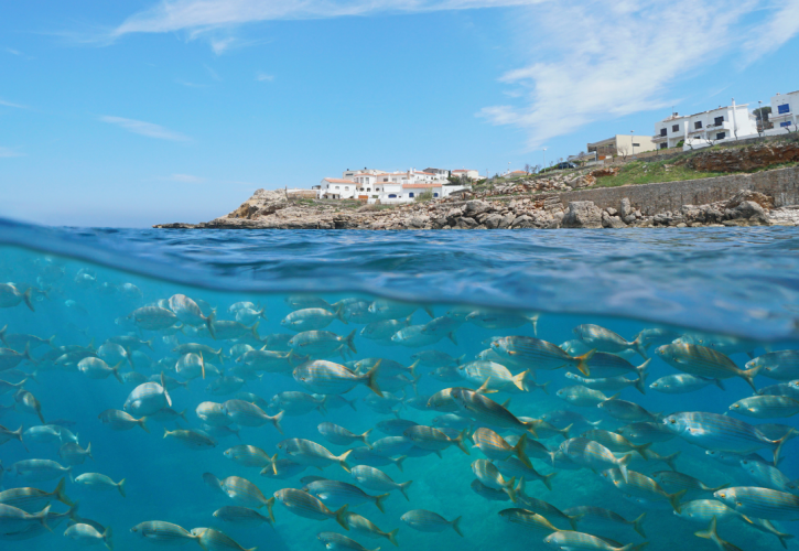 Il Mediterraneo punta sull’economia circolare con il progetto MEDWISE