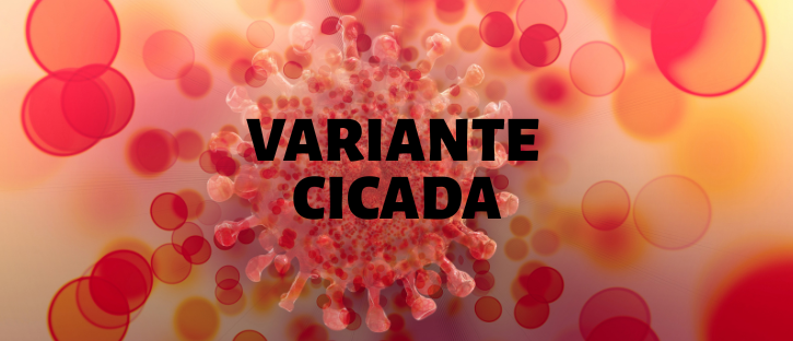 La Variante ‘Cicada’: Un Nuovo Sviluppo nel Contesto del COVID-19