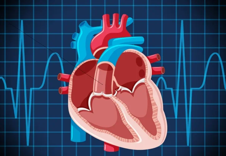 Innovativa operazione alle Molinette: due valvole cardiache riparate senza fermare il cuore