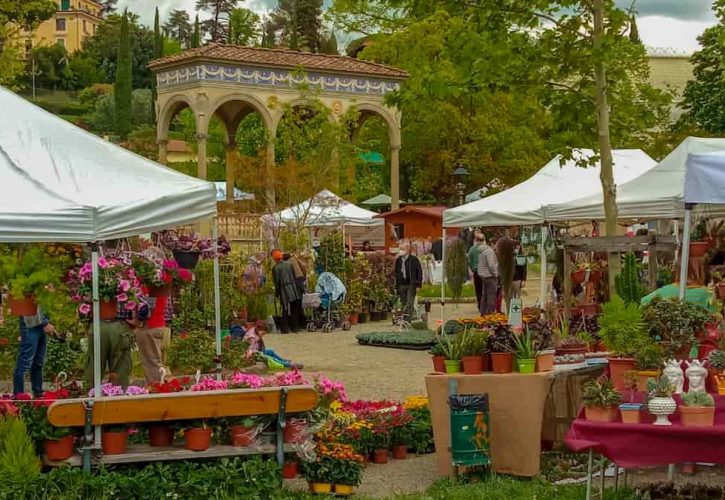 La Fioritura del Glicine a Villa Bardini: Un Evento Imperdibile per i Fiorentini