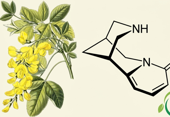 Smettere di fumare in 25 giorni: arriva il primo farmaco rimborsato dal SSN