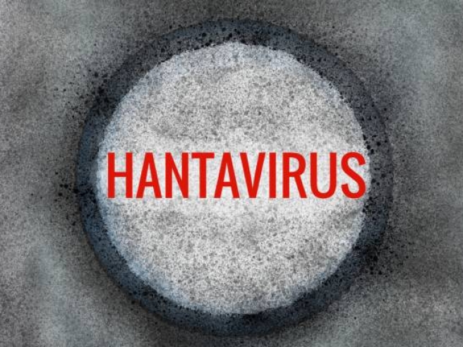 Focolaio di Hantavirus a bordo della MV Hondius: ciò che c’è da sapere