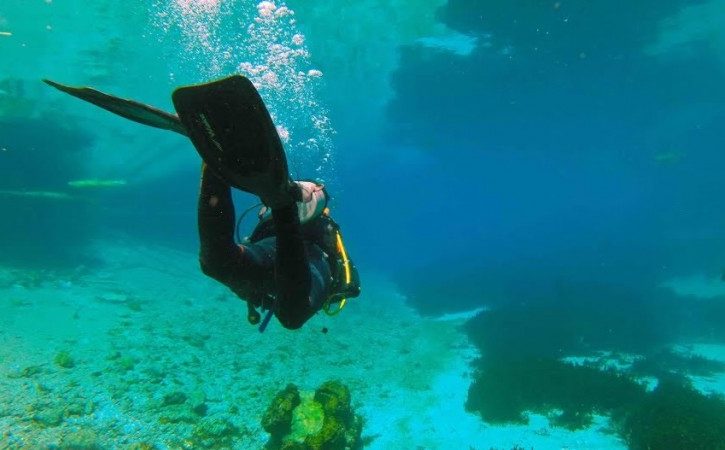Nuove Regolamentazioni per le Immersioni alle Maldive dopo la Tragedia dei Sub Italiani