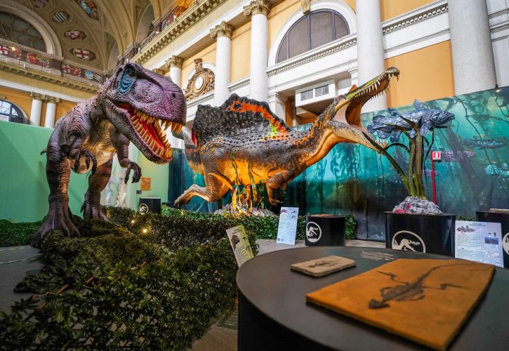 Presentazione di ‘La terra dei Giganti’: storia e misteri del Lazio meridionale