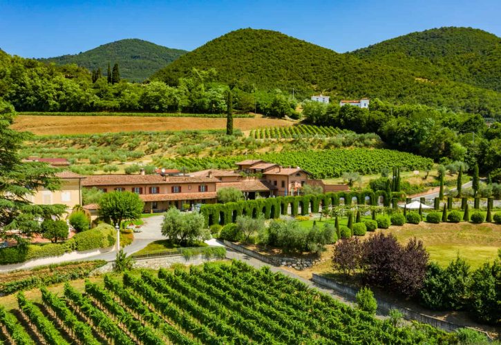 Estate di Montina: Vino, Cultura ed Enoturismo in Franciacorta