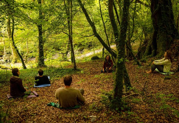 I Segreti della Forest Therapy: Un Ritorno alla Natura